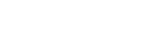 Twin Cities Film Festival